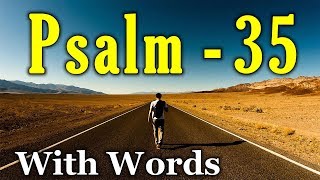 Psalm 35 Reading Seeking Comfort in Prayer With words  KJV [upl. by Gnol187]