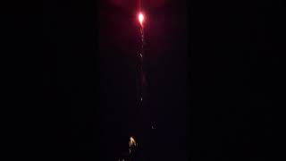 Rattlesnake VS Spinning Bee Firework [upl. by Ydnys]