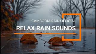 Rain Sounds for Sleep  On The Road Rain Sounds  Heavy Rain Sounds  3 hours [upl. by Myrtle]