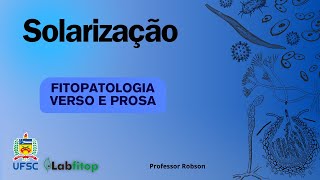 Solarização [upl. by Wirth]