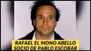 Rafael el mono Abello [upl. by Atalanti636]