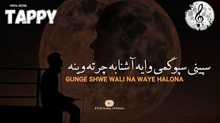 speene spogmai waya ashna ba charta wena pashto new song 2024 [upl. by Mayhew]