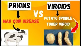 Subviral Particles  Prion and Viroid  prions vs Viroids [upl. by Irrac181]