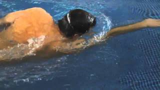 Front crawl Swimming technique  arms underwater [upl. by Harewood]