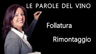 Follatura e Rimontaggio  Le parole del vino  Tutorial Vino Italiano [upl. by Keldon]