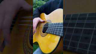 It’s crazy flamenco guitar [upl. by Allertse]