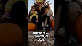 2024 Pumpkin Patch Temecula CA halloween2024 pumkinpatch temecula [upl. by Nnylahs]