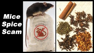 Debunking The Mice Spice Scam Dont Fall For This Mousetrap Monday [upl. by Allrud164]