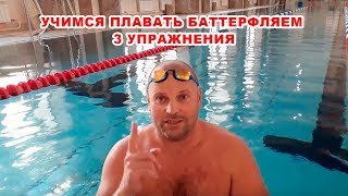 Учимся плавать баттерфляем 3 упражнения чтобы научиться плавать батом с нуля [upl. by Chancellor]