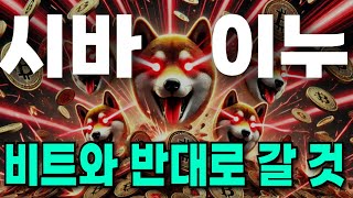 8월 3일 시바이누 긴급 시바이누 반등 십자선 포착했습니다 시바이누 시바이누 코인 [upl. by Pier]