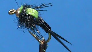 Beginner Fly Tying a Black Steelhead Stonefly with Jim Misiura [upl. by Subak]