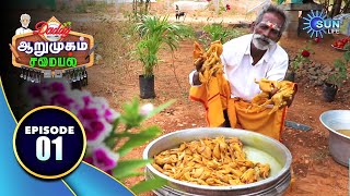 100 Kaadai Thokku  Daddy Arumugam Samayal  நூறு காடை தொக்கு  Sun Life Show  Sun TV [upl. by Pete]