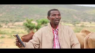 NEW OROMO GOSPEL SONG 2022 Eggi dema jedh BY FAR EZEKIAS TACHE [upl. by Vanya]