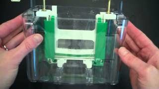 SDS PAGE Part 1 Assembly and Electrophoresis [upl. by Romilly]