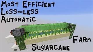 The Most Efficient Sugarcane farm in minecraft How To Biuld Part 2 [upl. by Aicina818]