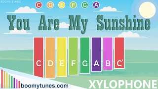 You are my Sunshine  XYLOPHONE Play Along [upl. by Sinclare578]