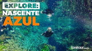 Explore Nascente Azul  Bonito MS  Bonitour  4k [upl. by Launamme]