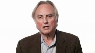 Richard Dawkins Faith  Big Think [upl. by Rozamond]