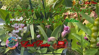 Orchids Care After Unboxing May 31 2024  Part One [upl. by Nogas651]