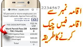 how to check iqama fees with iqama number in mobile bank [upl. by Namron]