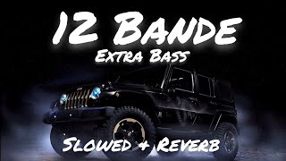 12 Bande SlowedReverb Extra Bass Varinder Brar song viral [upl. by Ki812]