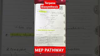 Biosynthesis of Five Carbon Unit of Terpene MEP Pathway Synthesis of Large Terpenes csirnet plant [upl. by Ayotaj]