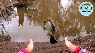 Multi species fishing in the Campaspe River [upl. by Nelehyram66]