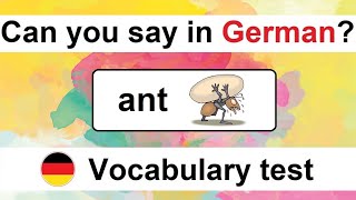 Can you guess 2020  German Vocabulary Test for Beginners [upl. by Ahsemot]