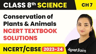 NCERT Class 8 Science Chapter 7 Questions and Answers  Conservation of Plants and Animals [upl. by Eromle]