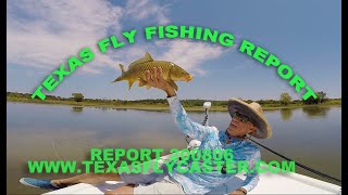 Fly Fishing News Report Texas 2200806  Where To Fly Fish Hurricane Buffalo Gar Zebra Mussels [upl. by Ellierim657]