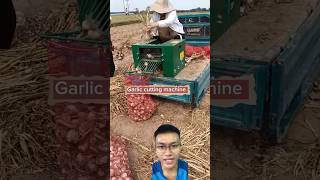 Smart garlic harvester sonlv [upl. by Nalek435]