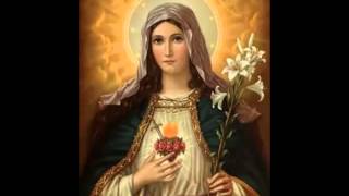 Reparation for Offenses Against Our Lady [upl. by Ileana]