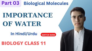 Importance of Water in HindiUrdu  Biological Molecules Biology 11 [upl. by Marten426]