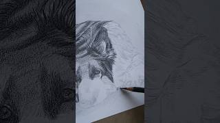 asmr art sketch pencils [upl. by Funda]