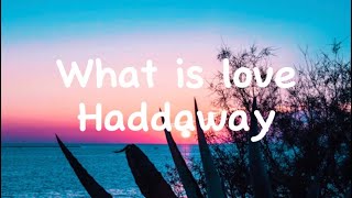 What Is Love  Haddaway lyrics [upl. by Harbot]