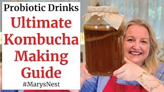 Beginners Guide to Kombucha Making  How to Make Kombucha at Home [upl. by Eldwun]