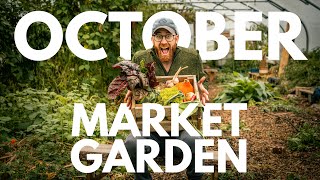 Permaculture Market Garden Through the Year  October  Agroecological farming  Glasbren CSA UK [upl. by Tullusus650]