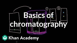 Basics of chromatography  Chemical processes  MCAT  Khan Academy [upl. by Danyluk88]