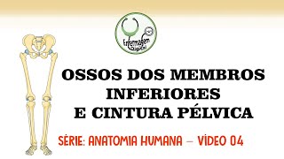 Ossos dos Membros Inferiores e Cintura Pélvica  Anatomia Humana  Vídeo 04 [upl. by Millar]