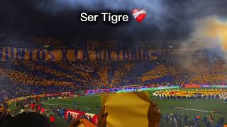 ser tigre es como [upl. by Kuo]