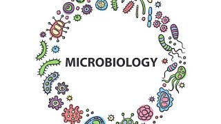 PseudomonasMicrobiologyPathologyMBBS [upl. by Ogilvie698]