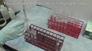 PhenolSulfuric Acid Method for Carbohydrates [upl. by Frantz]