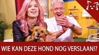 ONNEDI EN DE DIERENARTS GAAN LOS VOOR DEZE HOND  Fikkie TV agility [upl. by Gennifer]