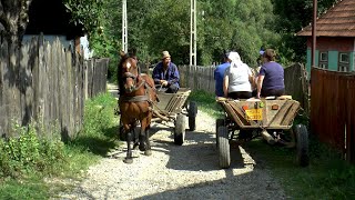 Romania Village Life in Transylvania [upl. by Einahpetse933]