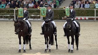 Hengstparade Moritzburg 23092023 Stallion parade Germany [upl. by Igic]