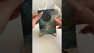 message for today ✨ tarot tarotpickacard pickacard tarot oraclecards tarotreading [upl. by Rafat]