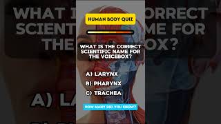 Revealing JawDropping Secrets About the Human Body HumanBody AnatomyQuiz ScienceTrivia [upl. by Assirok]