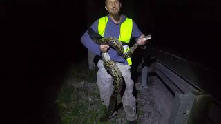 PYTHON HUNTING IN THE EVERGLADES  Snakeaholic [upl. by Aisa]