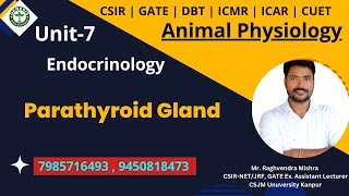 Parathyroid Gland  Animal Physiology genesisinstitute [upl. by Yt]