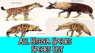 All Hyena Species  Species List [upl. by Jonathan]